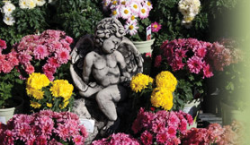 Westurf Nursery