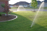 Westurf Nursery Products Westurf